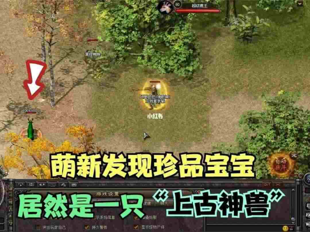 刀刀光柱变态爆率传奇之传奇私服间隔控制多少毫秒